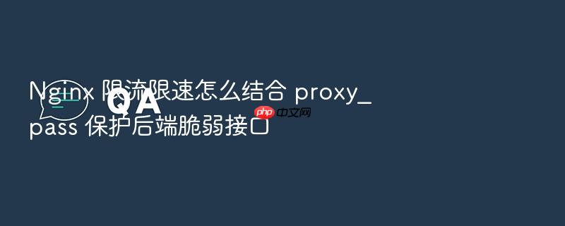 nginx 限流限速怎么结合 proxy_pass 保护后端脆弱接口