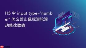 h5 中 input type=\