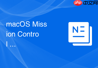 macos mission control 调度中心中怎么快速关闭全屏应用的沉浸状态