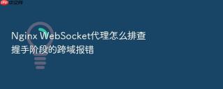 Nginx WebSocket代理怎么排查握手阶段的跨域报错