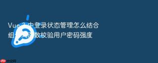 Vue 3 中登录状态管理怎么结合组合式函数校验用户密码强度