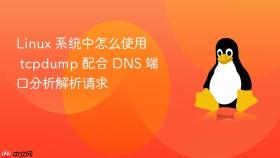 linux 系统中怎么使用 tcpdump 配合 dns 端口分析解析请求