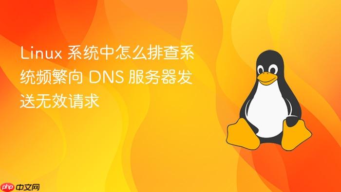 linux 系统中怎么排查系统频繁向 dns 服务器发送无效请求