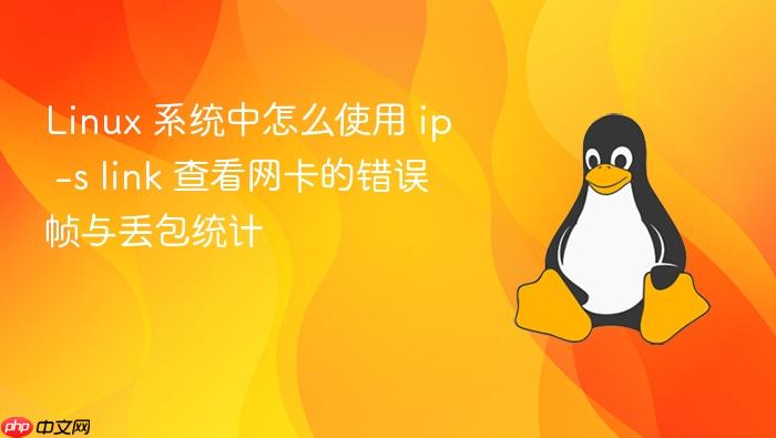 linux 系统中怎么使用 ip -s link 查看网卡的错误帧与丢包统计