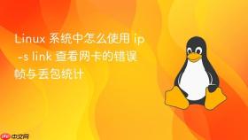 linux 系统中怎么使用 ip -s link 查看网卡的错误帧与丢包统计