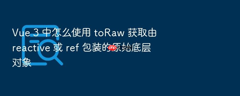 vue 3 中怎么使用 toraw 获取由 reactive 或 ref 包装的原始底层对象