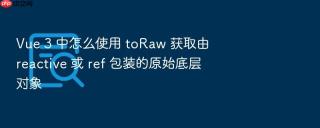 Vue 3 中怎么使用 toRaw 获取由 reactive 或 ref 包装的原始底层对象