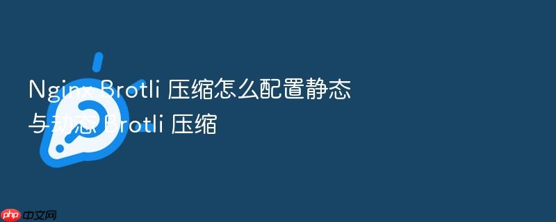 nginx brotli 压缩怎么配置静态与动态 brotli 压缩