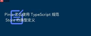 pinia 怎么使用 typescript 规范 store 的类型定义