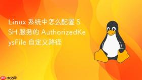 Linux 系统中怎么配置 SSH 服务的 AuthorizedKeysFile 自定义路径