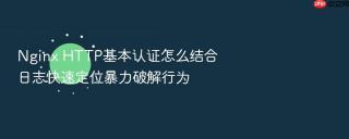 Nginx HTTP基本认证怎么结合日志快速定位暴力破解行为