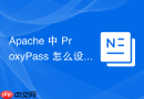 Apache 中 ProxyPass 怎么设置根目录转发