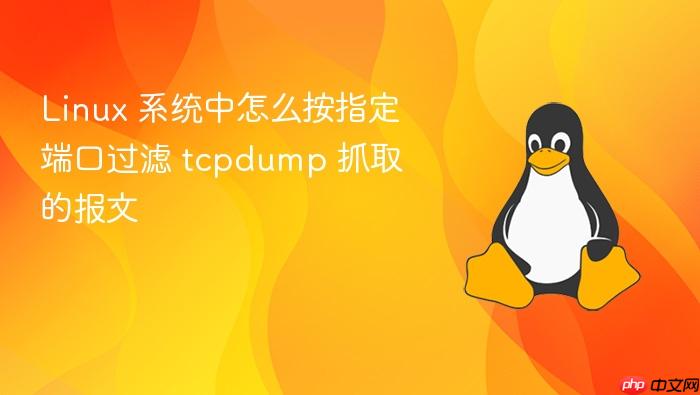 linux 系统中怎么按指定端口过滤 tcpdump 抓取的报文