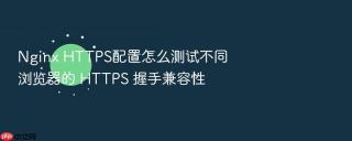 nginx https配置怎么测试不同浏览器的 https 握手兼容性