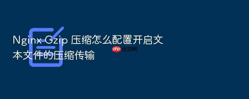 nginx gzip 压缩怎么配置开启文本文件的压缩传输