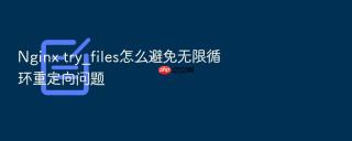 nginx try_files怎么避免无限循环重定向问题
