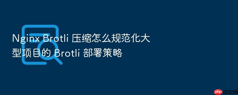 nginx brotli 压缩怎么规范化大型项目的 brotli 部署策略