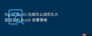 nginx brotli 压缩怎么规范化大型项目的 brotli 部署策略