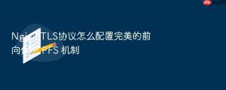 Nginx TLS协议怎么配置完美的前向保密 PFS 机制
