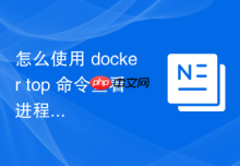 怎么使用 docker top 命令查看进程列表
