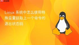 Linux 系统中怎么使用特殊变量获取上一个命令的退出状态码