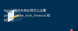 nginx 缓存失效处理怎么设置 proxy_cache_lock_timeout 超时时间