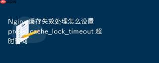Nginx 缓存失效处理怎么设置 proxy_cache_lock_timeout 超时时间