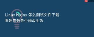 linux nginx 怎么测试文件下载限速参数是否修改生效