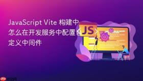JavaScript Vite 构建中怎么在开发服务中配置自定义中间件