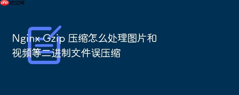 nginx gzip 压缩怎么处理图片和视频等二进制文件误压缩