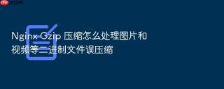 nginx gzip 压缩怎么处理图片和视频等二进制文件误压缩