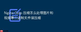 Nginx Gzip 压缩怎么处理图片和视频等二进制文件误压缩