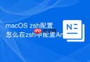 macOS zsh配置怎么在zsh中配置Android SDK路径
