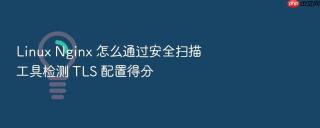 linux nginx 怎么通过安全扫描工具检测 tls 配置得分