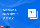 Windows Server 中怎么使用防火墙规则限制特定应用程序只能访问内网