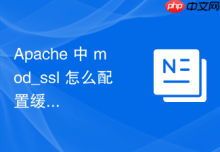 Apache 中 mod_ssl 怎么配置缓存提升访问速度