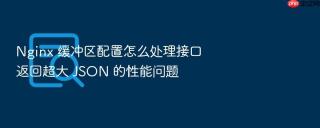 Nginx 缓冲区配置怎么处理接口返回超大 JSON 的性能问题