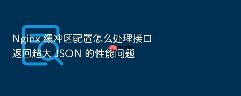 nginx 缓冲区配置怎么处理接口返回超大 json 的性能问题