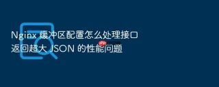 nginx 缓冲区配置怎么处理接口返回超大 json 的性能问题