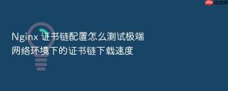 Nginx 证书链配置怎么测试极端网络环境下的证书链下载速度