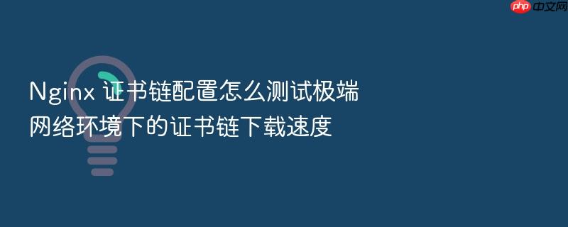 nginx 证书链配置怎么测试极端网络环境下的证书链下载速度