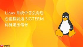 linux 系统中怎么向后台进程发送 sigterm 优雅退出信号
