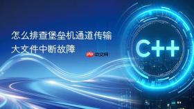 怎么排查堡垒机通道传输大文件中断故障