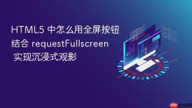 html5 中怎么用全屏按钮结合 requestfullscreen 实现沉浸式观影