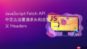 JavaScript Fetch API 中怎么设置请求头和自定义 Headers