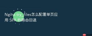 Nginx try_files怎么配置单页应用 SPA 的路由回退