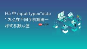 h5 中 input type=\