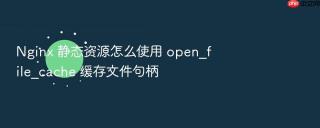 Nginx 静态资源怎么使用 open_file_cache 缓存文件句柄