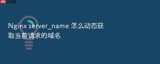 nginx server_name 怎么动态获取当前请求的域名