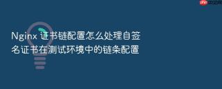 nginx 证书链配置怎么处理自签名证书在测试环境中的链条配置